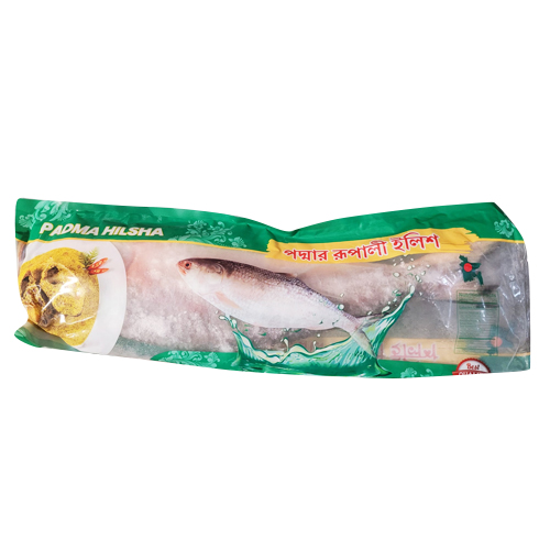 Padma Hilsha (800-1000)gm